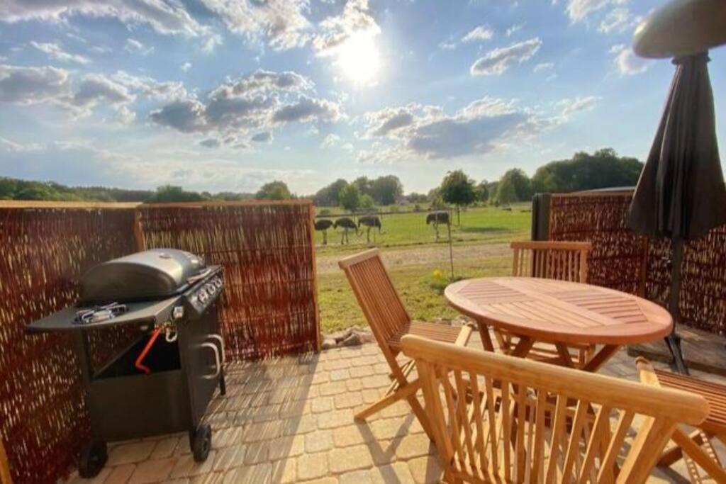 Tiny Haus Straussenblick 2 Villa Bad Fallingbostel Ngoại thất bức ảnh